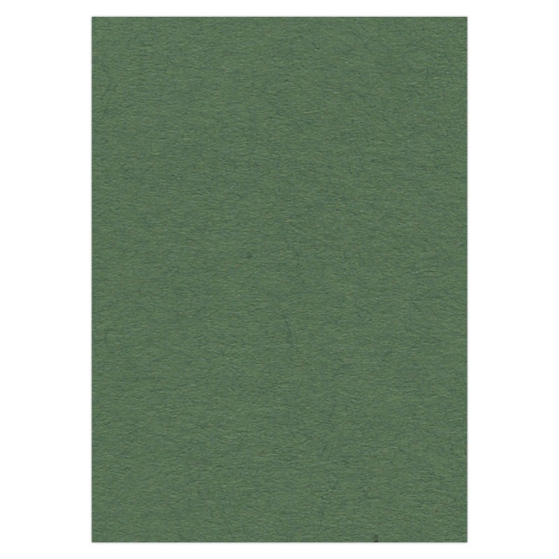 Cardstock 270 grs -50 x 70 cm - Forest Green