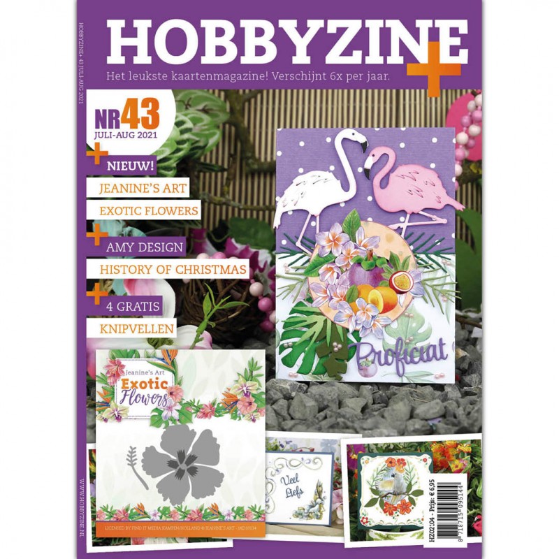 Nr. 43 Hobbyzine Plus