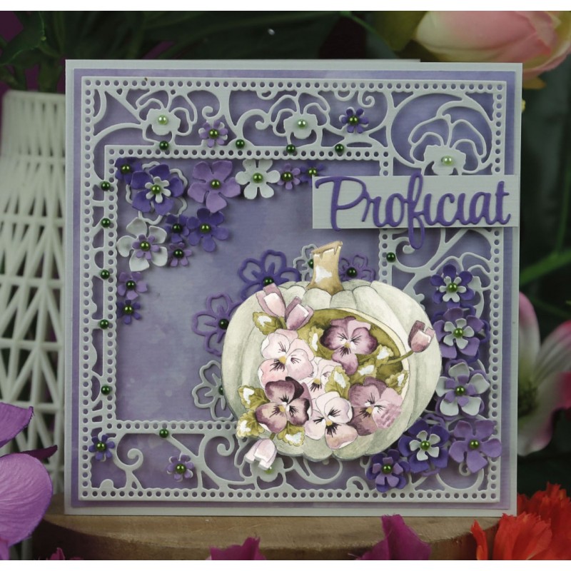 Dies - Precious Marieke - Purple Passion - Passion Square