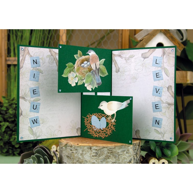 Paperpack - Jeanine's Art - Vintage Birds