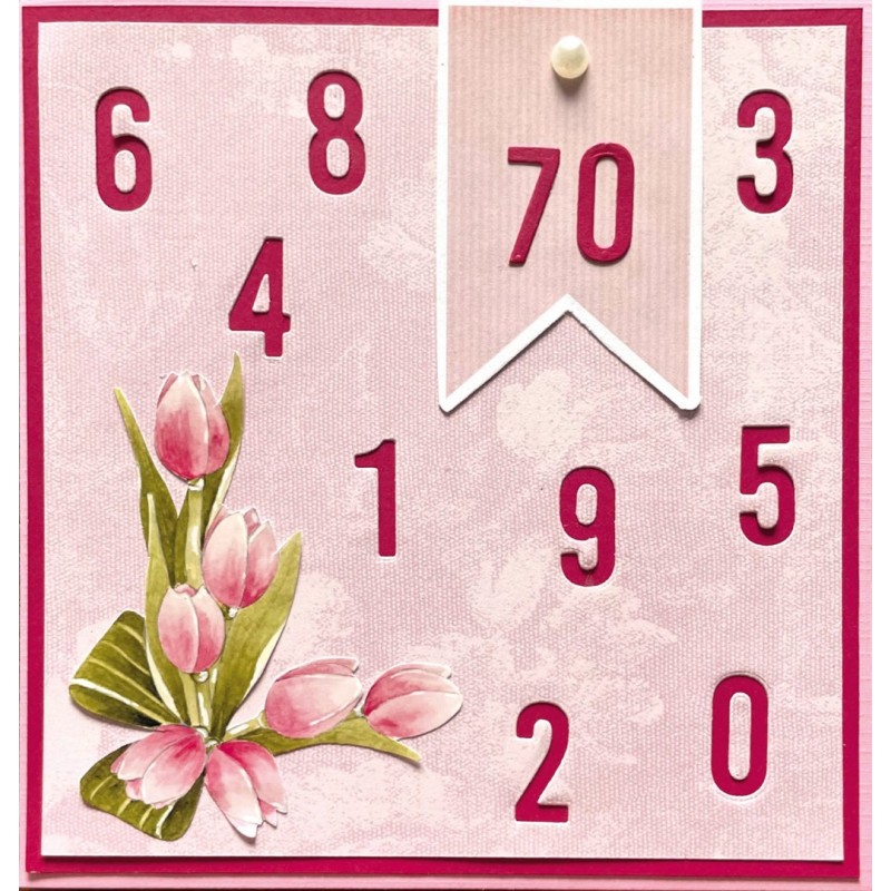 SET Hobbyjournaal 236