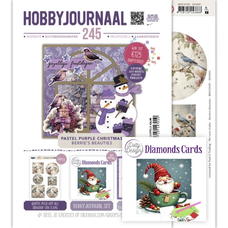 SET Hobbyjournaal 245