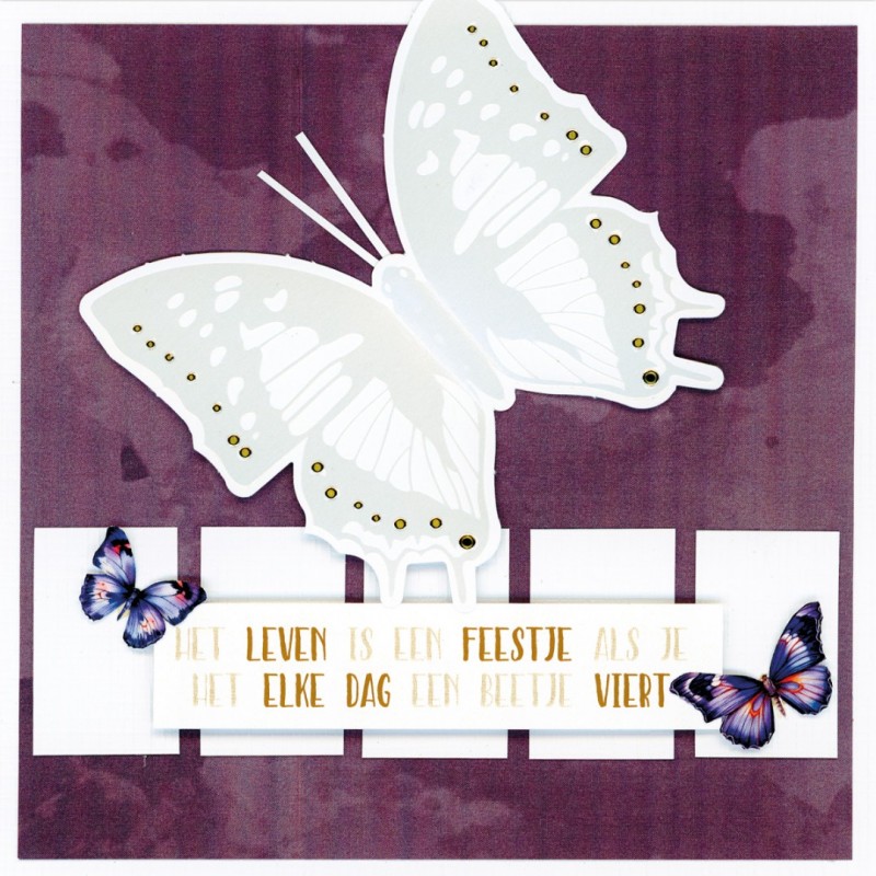 BC4K10004 - Butterfly Cards 4