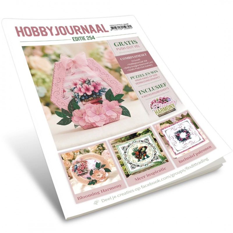 Hobbyjournaal 254