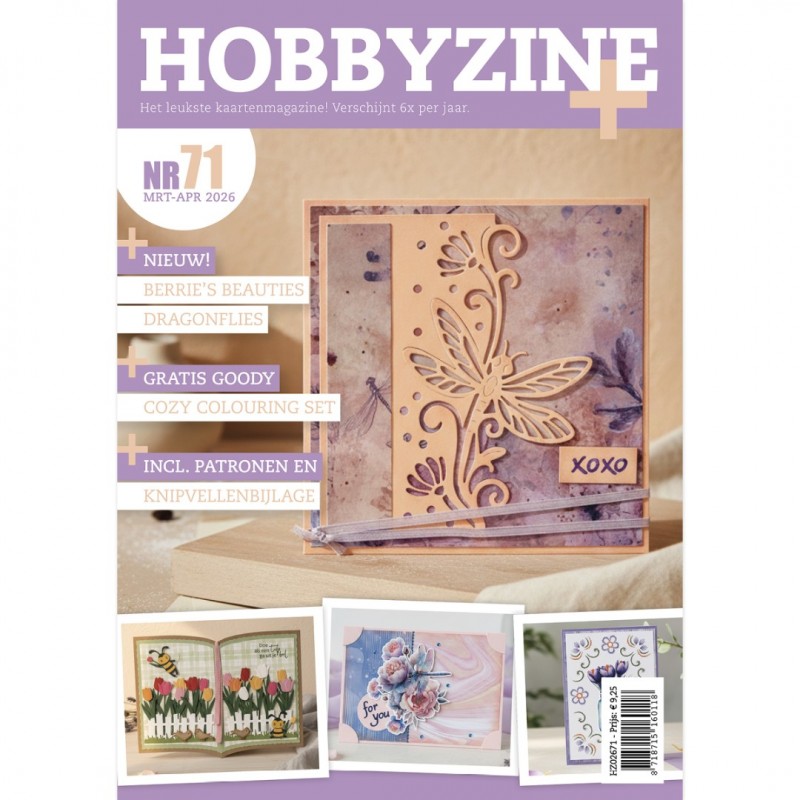 Hobbyzine 71