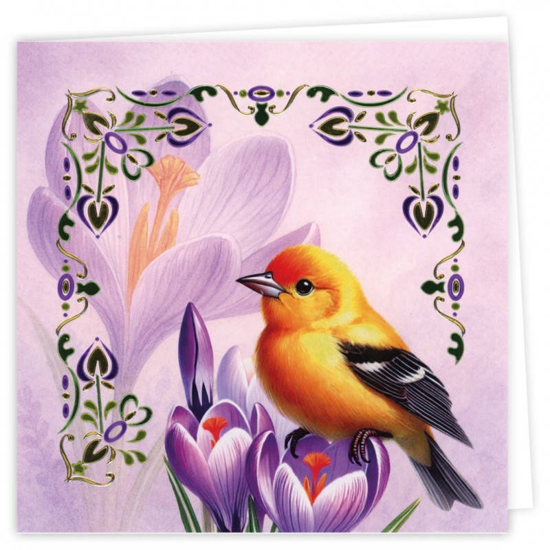 Hobbydots Cards 38 - Spring Birds