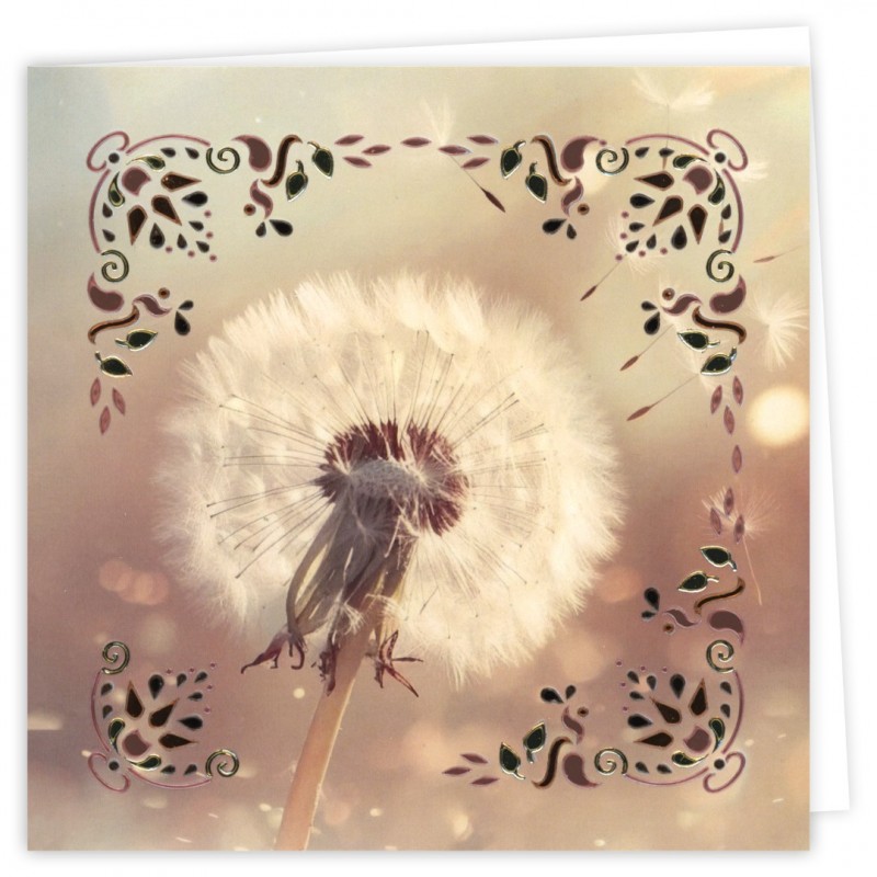 Hobbydots Cards 41 - Condoleance